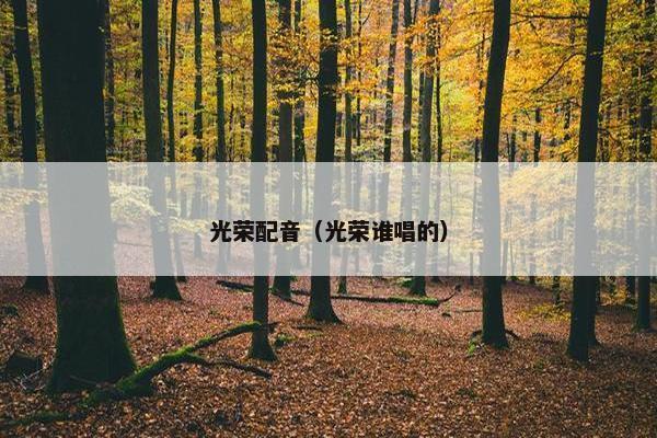 光荣配音（光荣谁唱的）