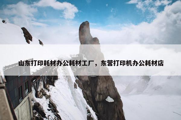 山东打印耗材办公耗材工厂，东营打印机办公耗材店