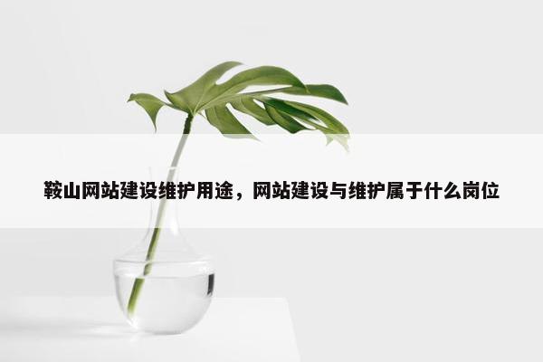 鞍山网站建设维护用途，网站建设与维护属于什么岗位