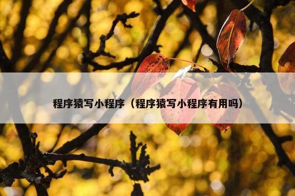 程序猿写小程序（程序猿写小程序有用吗）