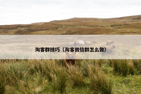 淘客群技巧（淘客微信群怎么做）