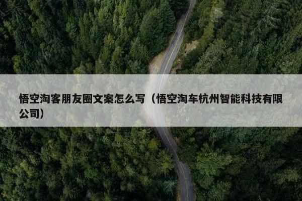 悟空淘客朋友圈文案怎么写（悟空淘车杭州智能科技有限公司）
