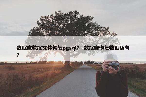 数据库数据文件恢复pgsql？ 数据库恢复数据语句？