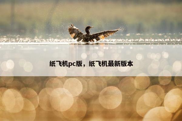 纸飞机pc版，纸飞机最新版本