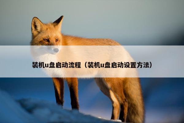 装机u盘启动流程（装机u盘启动设置方法）