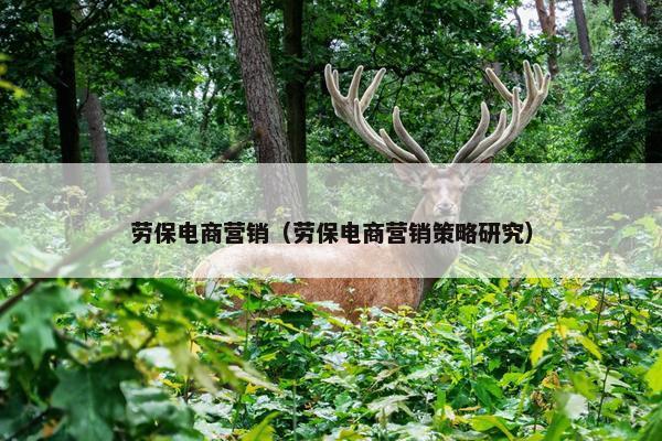 劳保电商营销（劳保电商营销策略研究）