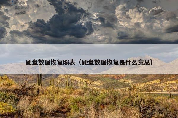 硬盘数据恢复照表（硬盘数据恢复是什么意思）