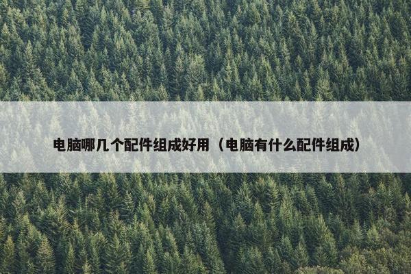 电脑哪几个配件组成好用（电脑有什么配件组成）