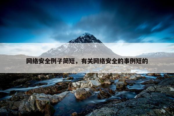 网络安全例子简短，有关网络安全的事例短的
