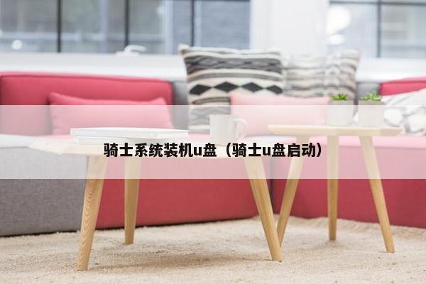 骑士系统装机u盘（骑士u盘启动）