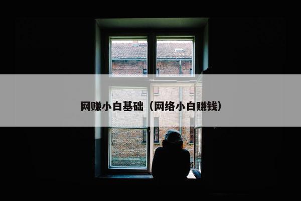 网赚小白基础（网络小白赚钱）