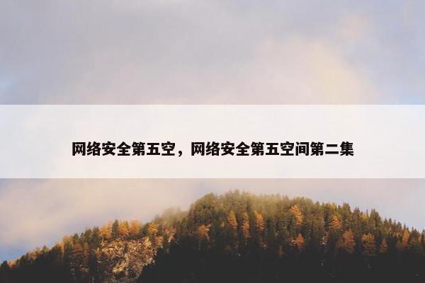 网络安全第五空，网络安全第五空间第二集