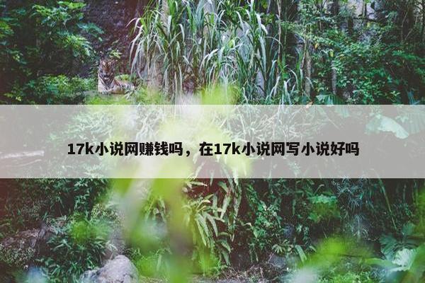 17k小说网赚钱吗，在17k小说网写小说好吗