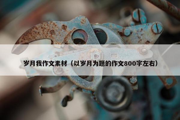 岁月我作文素材（以岁月为题的作文800字左右）
