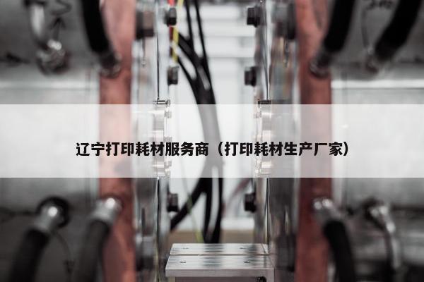 辽宁打印耗材服务商（打印耗材生产厂家）