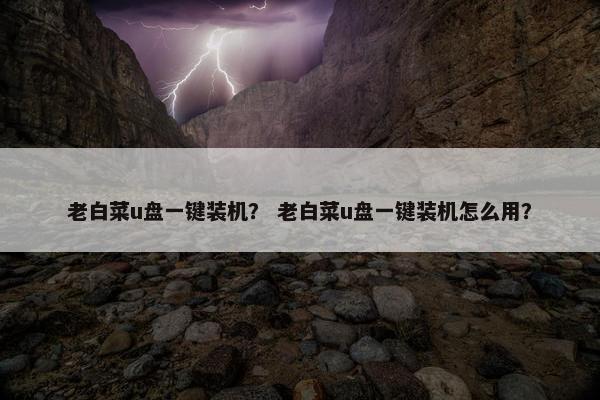 老白菜u盘一键装机？ 老白菜u盘一键装机怎么用？