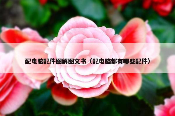 配电脑配件图解图文书（配电脑都有哪些配件）