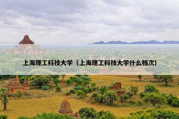 上海理工科技大学（上海理工科技大学什么档次）