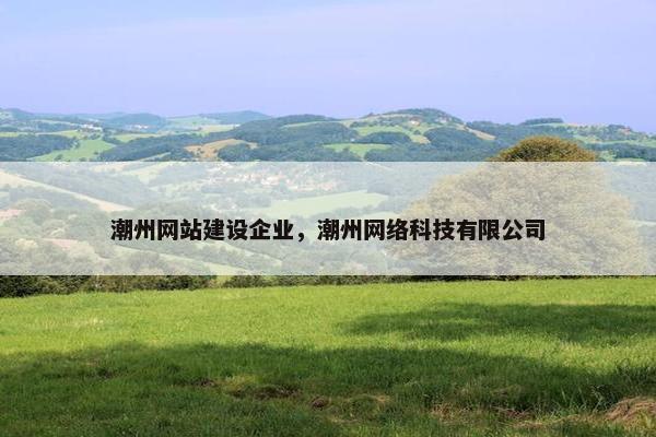 潮州网站建设企业，潮州网络科技有限公司