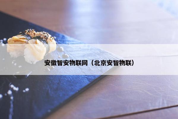 安徽智安物联网（北京安智物联）