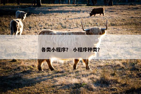 各类小程序？ 小程序种类？