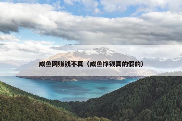 咸鱼网赚钱不真（咸鱼挣钱真的假的）