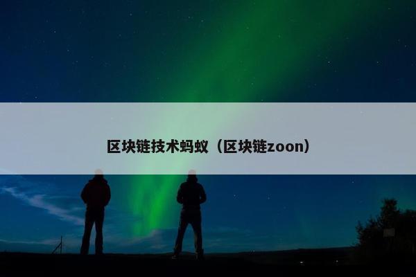 区块链技术蚂蚁（区块链zoon）