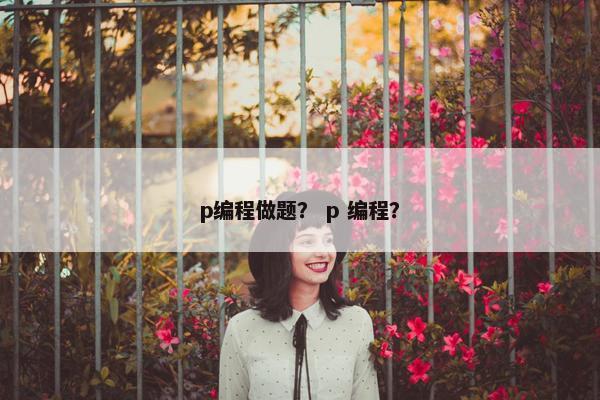 p编程做题？ p 编程？