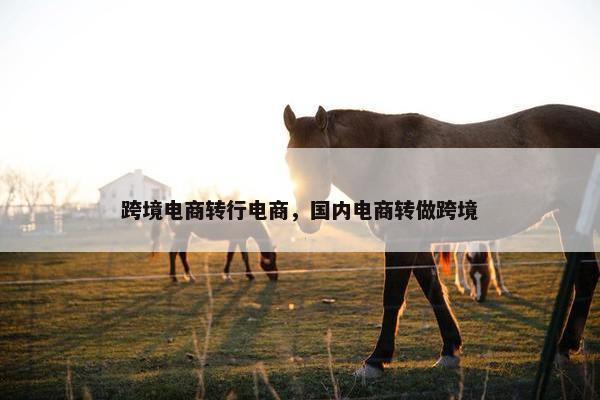 跨境电商转行电商，国内电商转做跨境