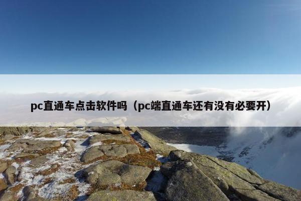 pc直通车点击软件吗（pc端直通车还有没有必要开）