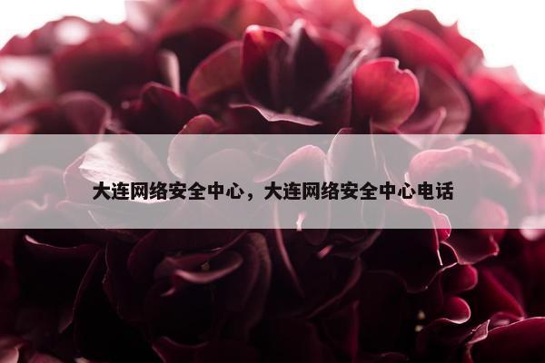 大连网络安全中心，大连网络安全中心电话