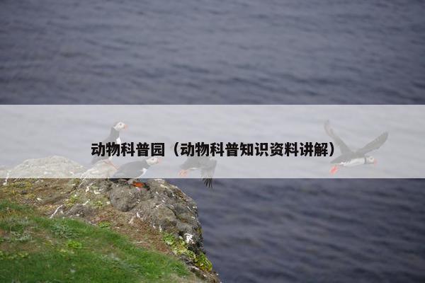 动物科普园（动物科普知识资料讲解）
