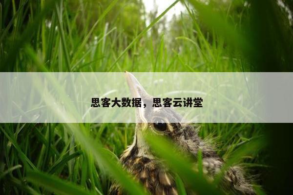 思客大数据，思客云讲堂
