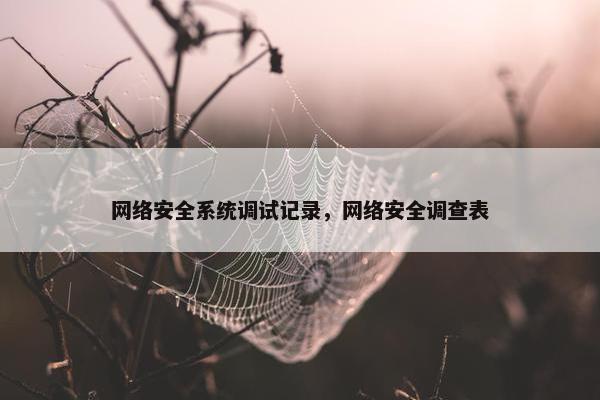 网络安全系统调试记录，网络安全调查表