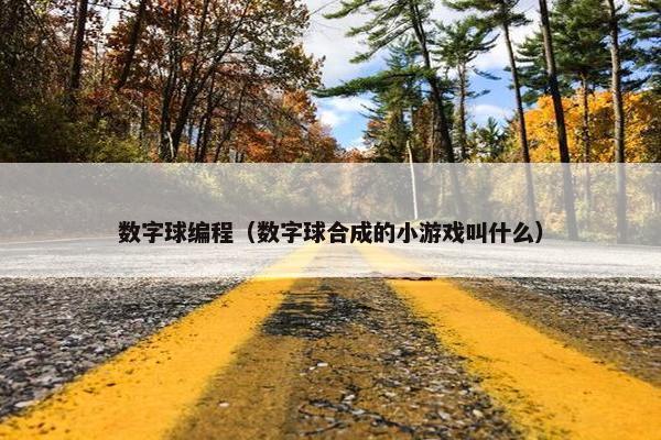 数字球编程（数字球合成的小游戏叫什么）