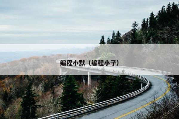 编程小默（编程小子）