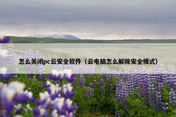怎么关闭pc云安全软件（云电脑怎么解除安全模式）