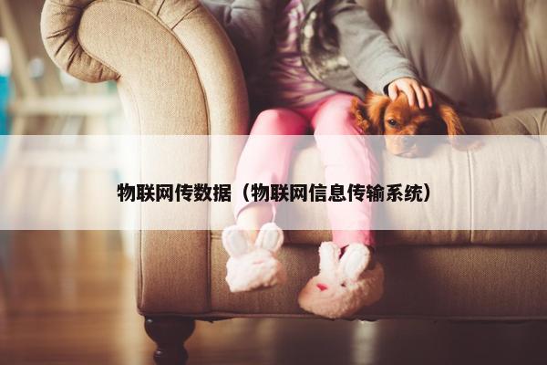 物联网传数据（物联网信息传输系统）