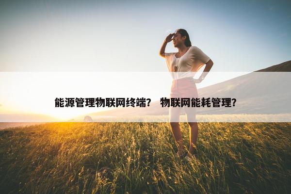 能源管理物联网终端？ 物联网能耗管理？