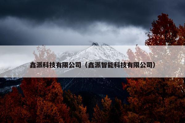 鑫派科技有限公司（鑫派智能科技有限公司）