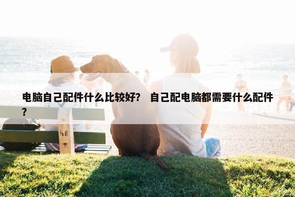 电脑自己配件什么比较好？ 自己配电脑都需要什么配件？