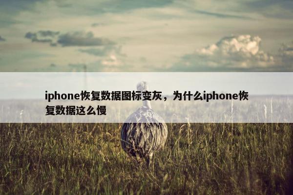 iphone恢复数据图标变灰，为什么iphone恢复数据这么慢