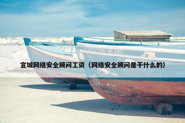 宣城网络安全顾问工资（网络安全顾问是干什么的）