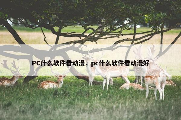 PC什么软件看动漫，pc什么软件看动漫好