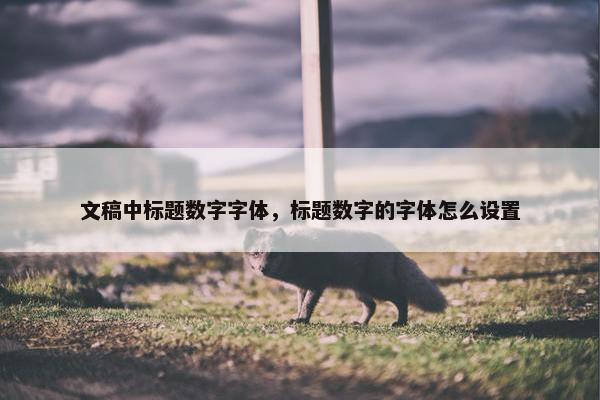文稿中标题数字字体，标题数字的字体怎么设置