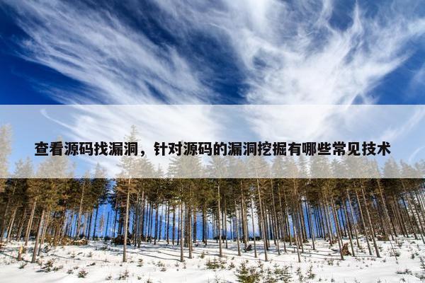 查看源码找漏洞，针对源码的漏洞挖掘有哪些常见技术
