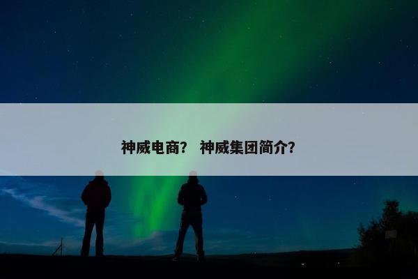 神威电商？ 神威集团简介？