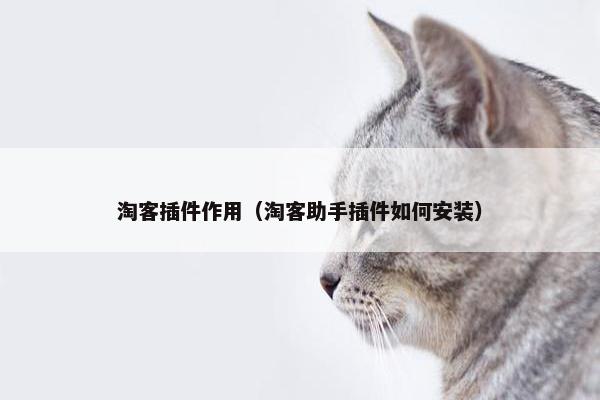 淘客插件作用（淘客助手插件如何安装）