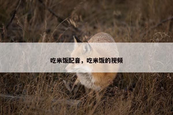 吃米饭配音，吃米饭的视频