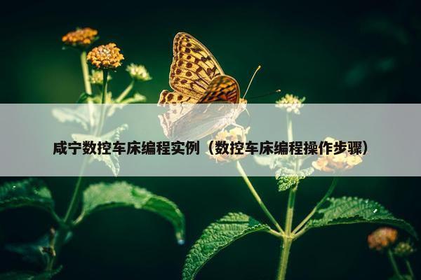 咸宁数控车床编程实例（数控车床编程操作步骤）